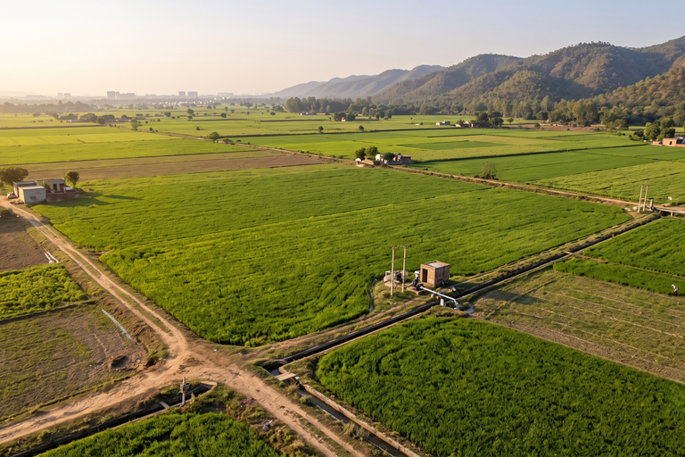 Premium Agricultural Land for Sale in Naya Gaon, Mohali